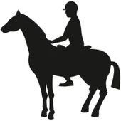 BİNİCİ FOLYO STİCKER thumbnail 1