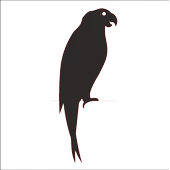 PAPAĞAN FOLYO STİCKER - 1