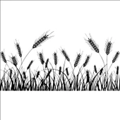 BUĞDAY BAŞAK FOLYO STİCKER thumbnail 1