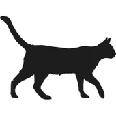 KEDİ FOLYO STİCKER thumbnail 1