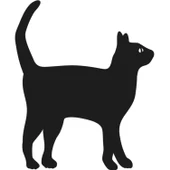 KEDİ FOLYO STİCKER thumbnail 1