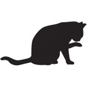 KEDİ FOLYO STİCKER - 1