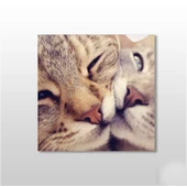 Kedi Çift  Kanvas Tablo - 1
