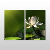 Papatya Kanvas Tablo thumbnail 1