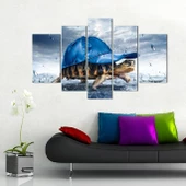 Kaplumbağa  Kanvas Tablo thumbnail 2