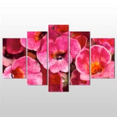 Menekşeler  Kanvas Tablo thumbnail 1