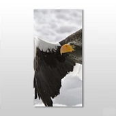 Kartal Kanvas Tablo thumbnail 1