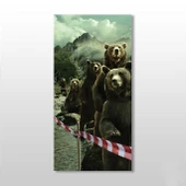 Ayılar Kanvas Tablo thumbnail 1