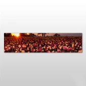 Laleler Kanvas Tablo thumbnail 1