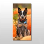 Köpek Kanvas Tablo - 1