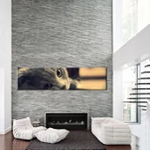 Kedi Kanvas Tablo - 2