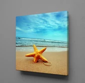 KUMSALDA DENİZ YILDIZI KANVAS TABLO - 1