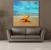 KUMSALDA DENİZ YILDIZI KANVAS TABLO - 2
