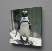 PENGUEN KANVAS TABLO - 1