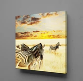 ZEBRA KANVAS TABLO - 1