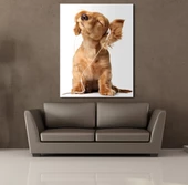 MÜZİK DİNLEYEN KÖPEK KANVAS TABLO - 2