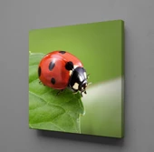 YAPRAĞIN ÜSTÜNDE UĞUR BÖCEĞİ KANVAS TABLO - 1