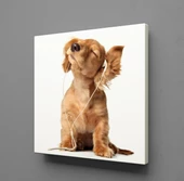 MÜZİK DİNLEYEN KÖPEK KANVAS TABLO - 1