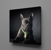 SİYAH KÖPEK KANVAS TABLO - 1