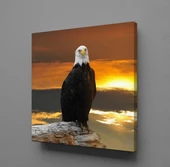 ŞAHİN KANVAS TABLO - 1