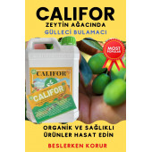 Gülleci Bulamacı 5 lt - 2