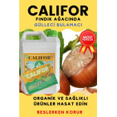 Gülleci Bulamacı 5 lt - 4