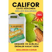 Gülleci Bulamacı 5 lt - 5