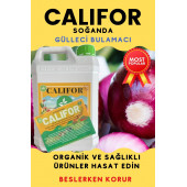 Gülleci Bulamacı 5 lt - 8
