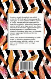 YAKICI SIR Stefan Zweig (BEZ CİLTLİ) thumbnail 2