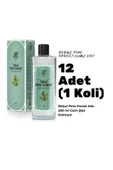 Pine Forest Edc 250ml Cam Şişeli Çam Ormanı Kokulu Kolonya 12 Adet (1 Koli) - 1