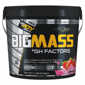 Bigjoy Sports Big Mass Gainer GH Factors 5000 Gr Bigmass Karbonhidrat Tozu Çilek - 1