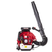 Palmera EB 985 Benzinli 5 Hp Yaprak Üfleme Makinesi - 1