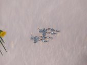 Vintage Otantik Sevimli Sallantılı Anadolu Kelebek Swarovski Taşlı Küpe - 2