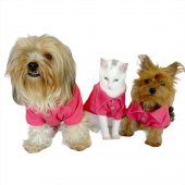 RL Pink Navy Polo Yaka Tişört Kedi Kıyafeti  Kedi Elbisesi - 6