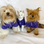 RL Purple Yellow Polo Yaka Tişört Köpek Kıyafeti Köpek Elbisesi - 8