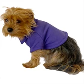 RL Purple Yellow Polo Yaka Tişört Köpek Kıyafeti Köpek Elbisesi - 3