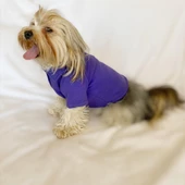 RL Purple Yellow Polo Yaka Tişört Köpek Kıyafeti Köpek Elbisesi - 7