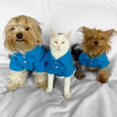 RL Sea Blue White Polo Yaka Tişört Kedi Kıyafeti Kedi Elbisesi - 4