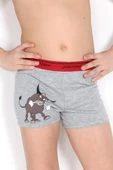 Miorre Erkek Çocuk Boxer - 2