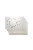 dudu ahşap SINIF SETİ- (20 ADET) TÜRK BAYRAĞI BOYAMA SETİ- 17,5 x25 cm TUVAL + 3 BOYA + 1 FIRÇA- CUMHURİYET - 4
