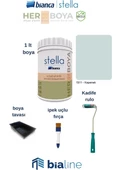 Bianca Stella Boya Seti ( Boya(KEPENEK- 1 LT)Kadife Rulo - Ipek Fırça(1 NO) - Boya Kabı) - 1