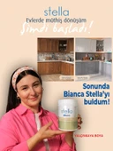 BİANCA STELLA  SU BAZLI AKRİLİK BOYACAPUCCİNO 500 ML - 2