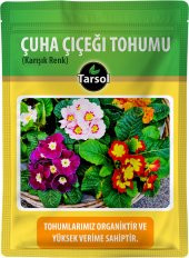 ÇUHA ÇİÇEĞİ TOHUMU 30 ADET - 1