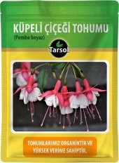 KÜPELİ ÇİÇEĞİ TOHUMU 30 ADET - 1