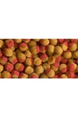 Tetra Cichlid Colour Mini 500 gr Skt :11/2026 Orjinal Kovadan Bölme Anadolu Pet Ürünüdür - 3