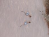 Hdmarketim Swarovski Taşlı İncili Doğa Temalı Küpe - 1