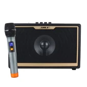 Shile SD-1 El Mikrofonlu Kumandalı USB+SD+BT Seyyar Portatif Anfi Hoparlör - 5