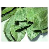 Çiftlik Park İlaçsız Avakado Yaprağı 250 gr thumbnail 1