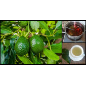 Çiftlik Park İlaçsız Avakado Yaprağı 250 gr thumbnail 2