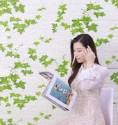 Renkli Duvarlar NW88 Kavak Yaprağı Tuğla Yapışkanlı Duvar Kağıdı 3D Panel thumbnail 7